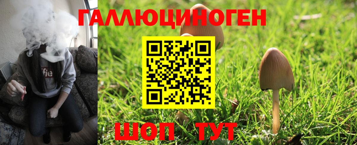 Лянтор  Псилоцибиновые грибы Psilocybe  Вход с VPN  Галлюциногенные грибы Cubensis 