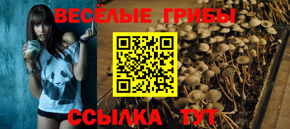 Галлюциногенные грибы MAGIC MUSHROOMS Лянтор